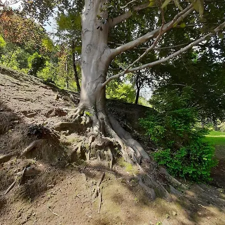 Bmp Gioiosa 1 Terrazza Vista Апартаменты